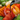 Pairing Food & Balsamic Vinegar: A Flavor Enhancing Guide